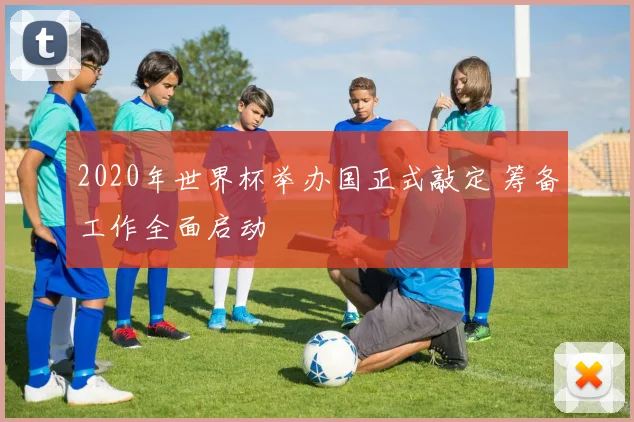 2020年世界杯举办国正式敲定 筹备工作全面启动