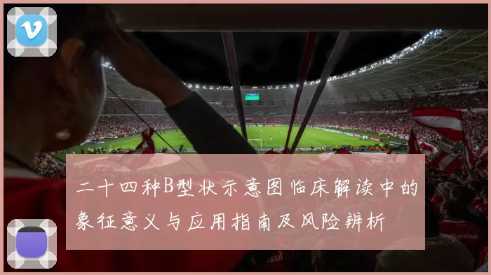 二十四种B型状示意图临床解读中的象征意义与应用指南及风险辨析