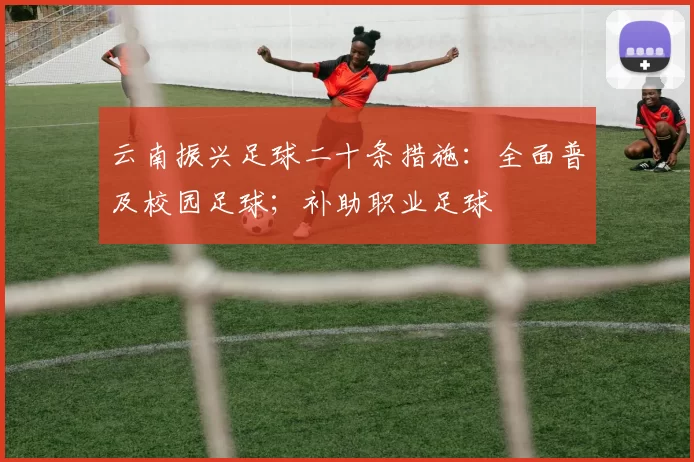 云南振兴足球二十条措施:全面普及校园足球;补助职业足球